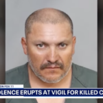 Suspected cat serial killer protested by violent mob
